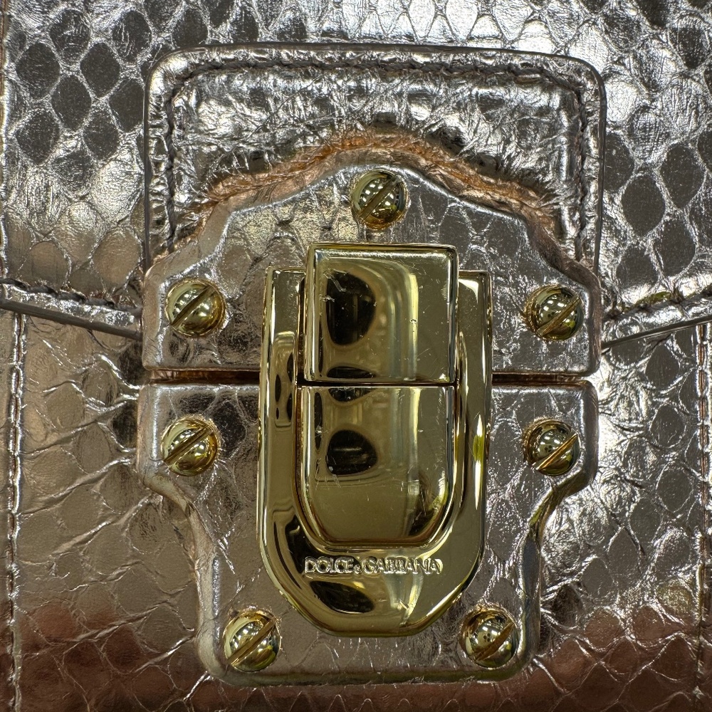 Dolce & Gabbana Rose Gold Python Mini Bag - Picture 13 of 14